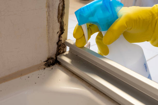 Best Attic Mold Removal  in Baldn, WI