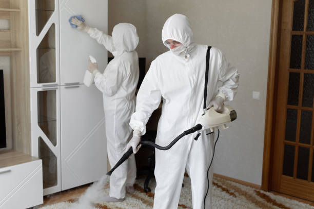 Best Commercial Mold Removal  in Baldn, WI