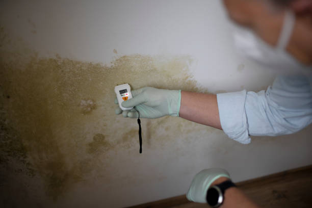 Best Office Mold Removal Services  in Baldn, WI