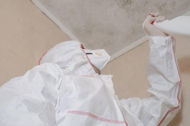 Best Affordable Mold Removal  in Baldn, WI