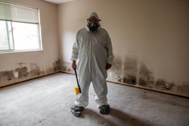 Best Affordable Mold Removal  in Baldn, WI